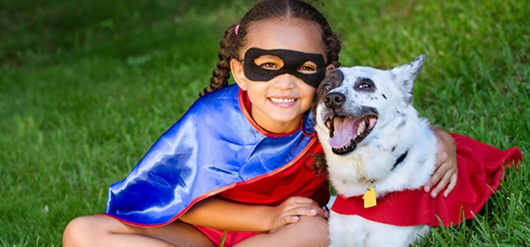Chocolate Safety for Dogs and Cats